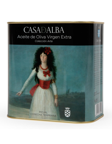 Casa de Alba Duquesa Goya - Bidon...